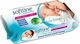 Softline Fresher Premium Babytücher ohne Alkoho...