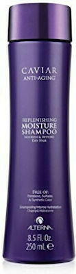 Alterna Shampoos Hydration for All Hair Types 250ml