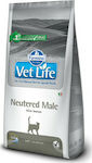 Farmina Vet Life Neutered Male Dry Food for Adult Neutered Cats with Chicken / Rice 2kg