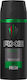Axe Africa Deodorant 48h als Spray 150ml
