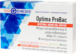 Viogenesis Probiotic 30 caps