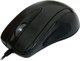 Titanum TM103K Magazin online Mouse Negru