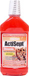 Intermed Actisept Cinnamon Mundspülung 500ml