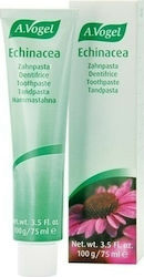 A.Vogel Echinacea για Ουλίτιδα 100ml