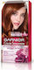 Garnier Color Sensation Set Hair Dye 6.46 Inten...