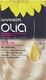 Garnier Olia Set Blonde Hair Dye no Ammonia 10 ...