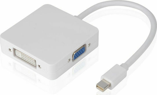 Powertech Convertor mini DisplayPort masculin în DVI-I / VGA feminin Alb 1buc CAB-DP016