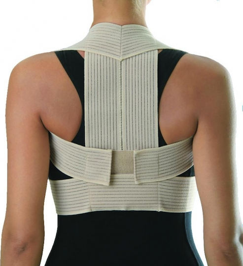 Anatomic Help 0322 Back Splint Beige