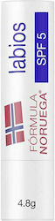 Neutrogena Lip Balm 4.8gr Neutrogena Lip Balm 4.8gr