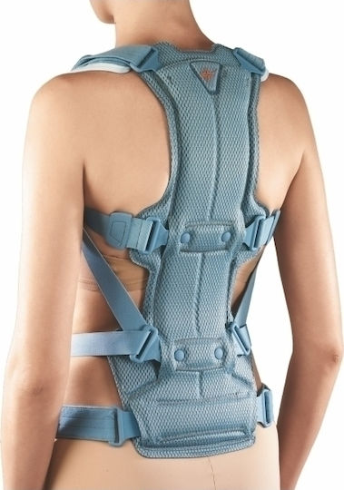 Ortholand Spinal Plus Trunk Splint Gray