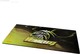 Akasa Venom Edition Gaming Mouse Pad XXL 890mm ...