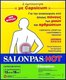 Hisamitsu Salonpas Hot Heat Patches for Muscle Pain & Joint 2pcs