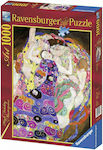 Klimt Puzzle 2D 1000 Bucăți