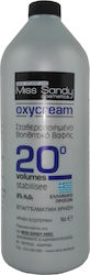 Miss Sandy Οξειδωτικό Γαλάκτωμα 6% 20Vol 1000ml