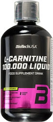 Biotech USA L-Carnitine 100000mg mit Geschmack Apfel 500ml