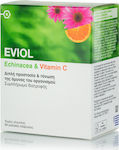 Eviol Echinacea & Vitamin C Συμπλήρωμα για την Ενίσχυση του Ανοσοποιητικού 60 μαλακές κάψουλες