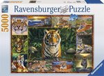 Puzzle 2D 5000 Pieces