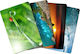 Esperanza EA133 Mouse Pad (240mm) Earth EA133