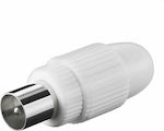 Eurolamp Plug Coaxial male 2pcs Whitr (800-10100)