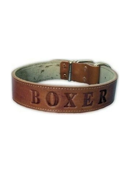 Leather Boxer 4x66cm leather halter