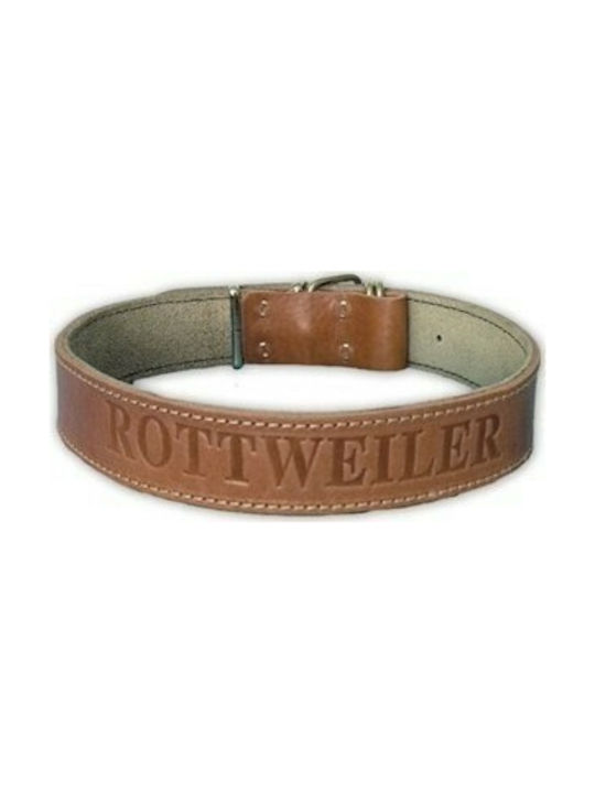 Leather Rotwailler 4x80cm leather trim