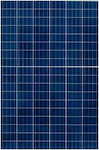 Sovello T190 Polycrystalline Solar Panel 190W 12V 1571x951x41mm