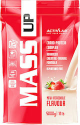 ActivLab Mass Up Φράουλα 1.2kg ActivLab Mass Up Φράουλα 1.2kg