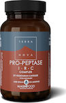 TerraNova Pro Peptase IRC 50 Mützen