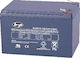 B&P DJW12-12 UPS Battery with Capacity 12Ah and Voltage 12V 1pcs