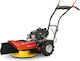 Vari DS-521Z Agatha Tăietoare de iarbă Distrugător Benzină 6hp