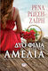 Δυο Φιλιά για την Αμέλια, Novel