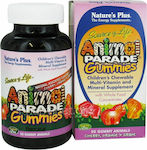 Nature's Plus Animal Parade Gummies Assorted Flavors Vitamin for Energy & Immune System Boost Cherry Orange Grape 50 jelly beans