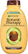 Garnier Botanic Therapy Avocado Oil and Shea Σαμπουάν Αναδόμησης/Θρέψης για Φριζαρισμένα Μαλλιά 400ml
