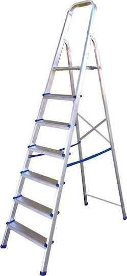 Profal Super Ladder Aluminum with 4+1 Steps
