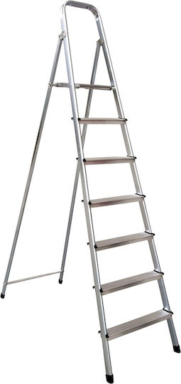 Profal Mix Leiter Aluminium und Eisen mit 4+1 Stufen