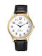 Q&Q Men's Watch 40mm Battery with Black Leather Strap