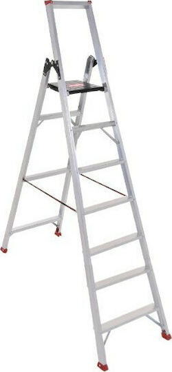 Palbest Steady Leiter Aluminium mit 8+1 Stufen 218cm