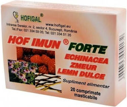 Hofigal Hof Imun Forte 20 Chewable Tablets Hofigal Hof Imun Forte 20 Chewable Tablets