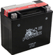 Power Batteries Baterie Motocicleta YTX16-BS 250A cu Capacitatea 18Ah