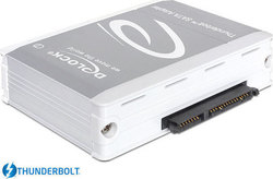 DeLock Converter Thunderbolt to SATA Ασημί 61971