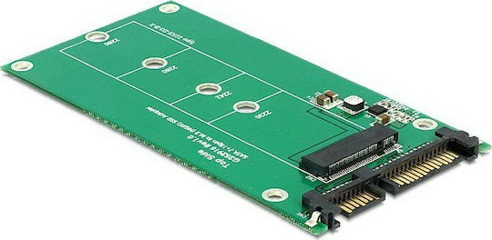 DeLock Converter SATA to M.2 62551