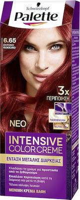 Schwarzkopf Palette Intensive Color Creme Set Hair Dye 6.65 Bright Red 50ml