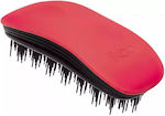 Ikoo Paradise Fireball Black Brush