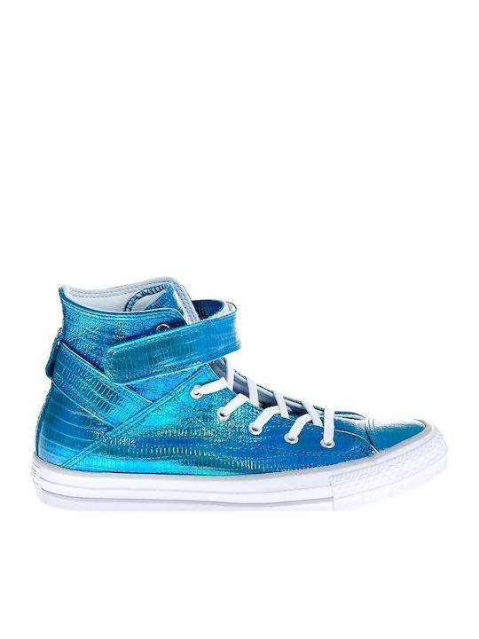 converse reptile