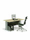 Professional Office Basic Wooden Beige with Metal Legs 180x80x75cm