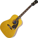 Epiphone Semi-Akustik Gitarre Inspired by 1964 Texan Antique Natural Natürlich
