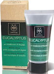 Apivita Eucalyptus Κρέμα Χειμώνα Cremă 50ml