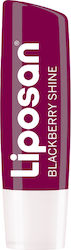 Liposan Color Lip Balm Blackberry Shine 4.8gr