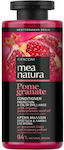 Farcom Mea Natura Pomegranate Conditioner για Προστασία Χρώματος για Βαμμένα Μαλλιά 300ml