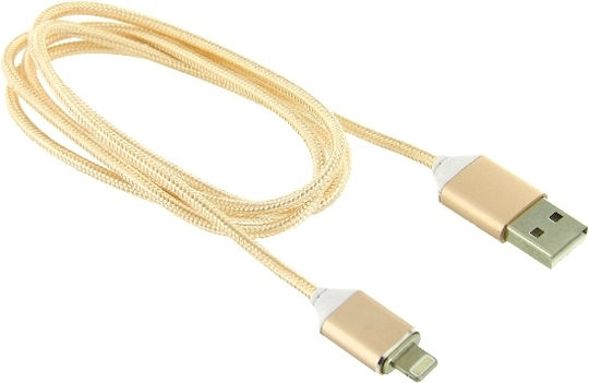 Braided / Magnet detasabil USB-A la Cablu Lightning Auriu 1m (06920)
